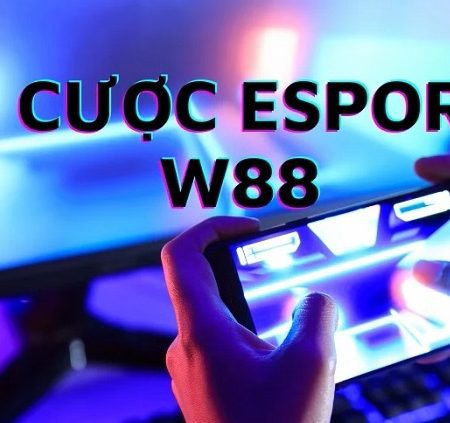 Các app cá cược Esport uy tín nên tham gia