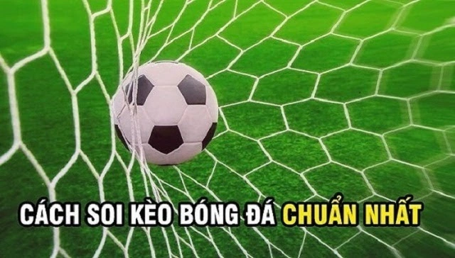 Cách Bắt Kèo Bóng Đá Bất Bại